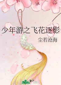 《少年游之飞花逐影》