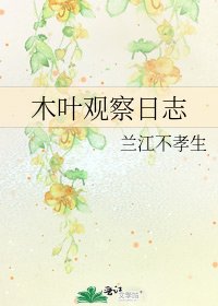 《木叶观察日志》