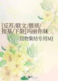 [反苏/联文/猥琐/搅基/下限]玛丽你妹，综漫你大爷