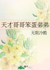 《天才哥哥笨蛋弟弟》
