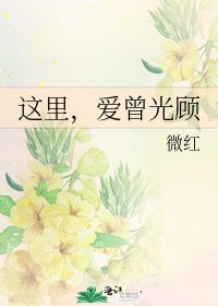 《这里,爱曾光顾》
