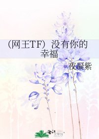 《(网王TF)没有你的幸福》