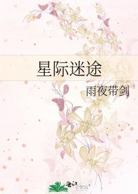 《星际迷途》