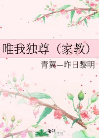 《唯我独尊(家教)》
