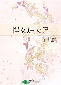 《悍女追夫记》