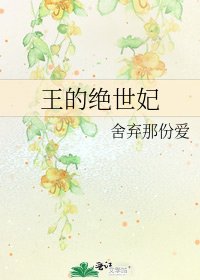 《王的绝世妃》