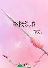 《终极领域》