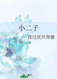 《小二子》