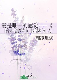《哈利波特》
