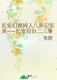 《长安幻夜同人八卦记实录——长安后台二三事》