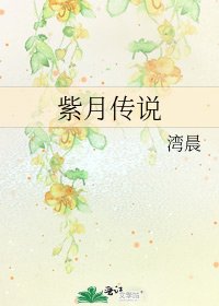 《紫月传说》