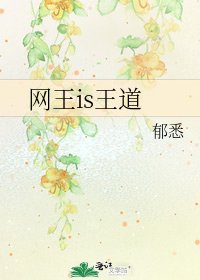 《网王is王道》