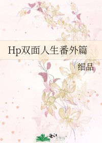 《Hp双面人生番外篇》
