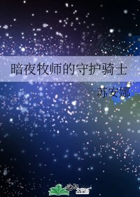 《暗夜牧师的守护骑士》
