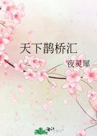 天下鹊桥汇