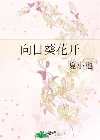 《向日葵花开》