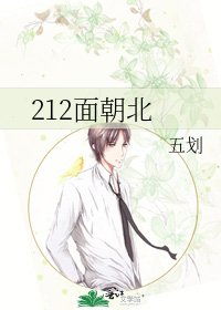 《212面朝北》