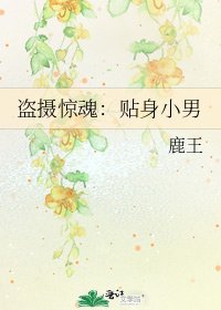 《盗摄惊魂:贴身小男》