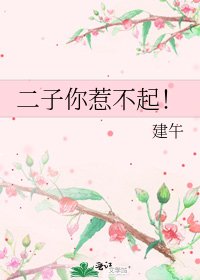 《二子你惹不起!》