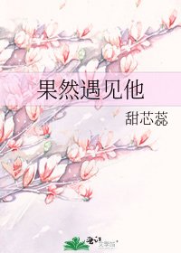 《果然遇见他》