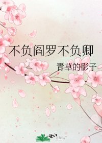 《不负阎罗不负卿》