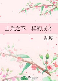 《士兵之不一样的成才》