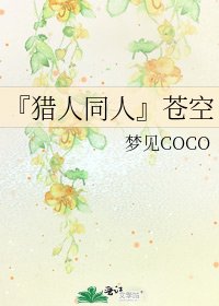 《『猎人同人』苍空》