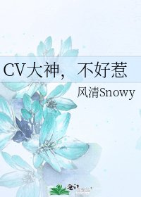 《CV大神,不好惹》
