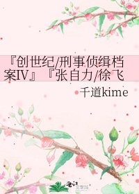 《『创世纪/刑事侦缉档案Ⅳ』『张自力/徐飞X江子山』变奏》