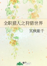 《全职猎人之狩猎世界》