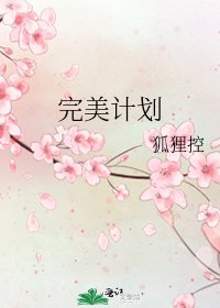 《完美计划》