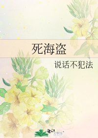 死海盗
