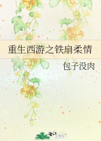 重生西游之铁扇柔情