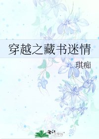 《穿越之藏书迷情》