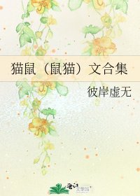 猫鼠(鼠猫)文合集