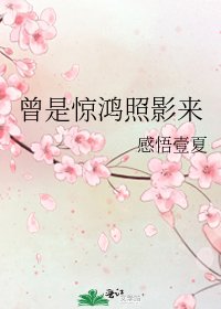 《曾是惊鸿照影来》
