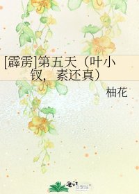 [霹雳]第五天（叶小钗，素还真）
