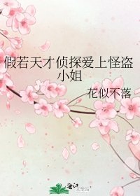 《假若天才侦探爱上怪盗小姐》