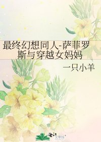 最终幻想同人-萨菲罗斯与穿越女妈妈
