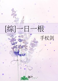 [综]一日一根