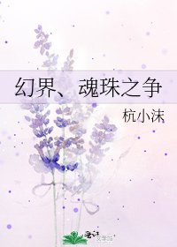 《幻界、魂珠之争》