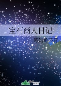 《宝石商人日记》
