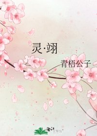 《灵·翊》
