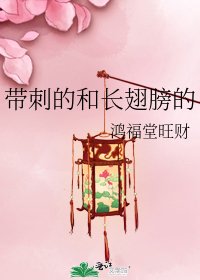 《带词的和畅翅膀的》