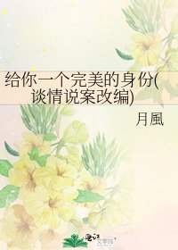 《给你一个完美的身份(谈情说案改编)》