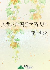 《天龙八部网游之路人甲》
