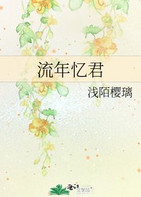 《流年忆君》