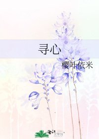 《寻心》