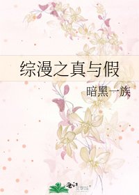 《综漫之真与假》