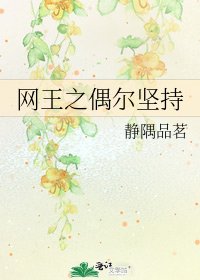 《网王之偶尔坚持》